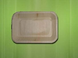 24X16cm Rectangular Areca Leaf Plate