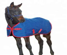 Turnout Horse Rug, Size : Customize Size