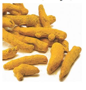 Organic turmeric finger, Color : Yellow