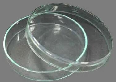 Ralco Glass Laboratory Petri Dish, Size : 4inch