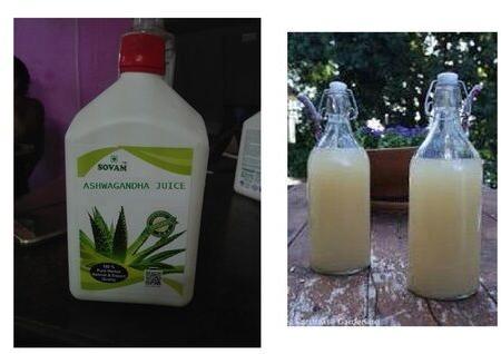 Ashwagandha Juice, Shelf Life : 18 month