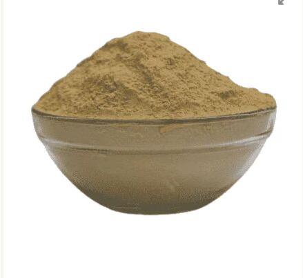 Giloy Powder, For Medicine, Purity : 100%