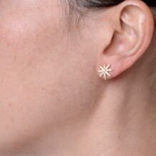 Silver Plus Diamond Starburst Studs Earrings
