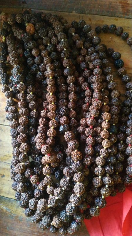 Dark Brown 5 Mukhi Rudraksha Mala, for Religious, Size : Multisize