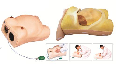 Polymerised Rubber Maternity Examination Model, for Nursing Institutes, Medical college, Hospitals