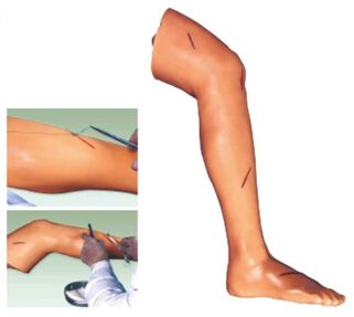 PVC Surgical Suture Leg Models, for Nursing Institutes, Medical Colleges, Hospitals, Feature : Durable
