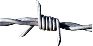 Barbed Iron Wire