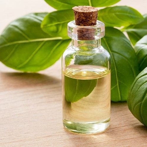 Liquid Basil Oil, for Medicinal Purpose, Cosmetics use, Purity : 100%