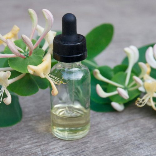 Liquid Honeysuckle Oil, for Skin Care Products, Packaging Type : Glass Bottle