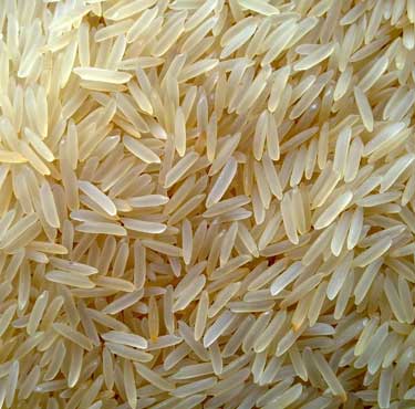 Hard Organic Sella Rice, Style : Dried