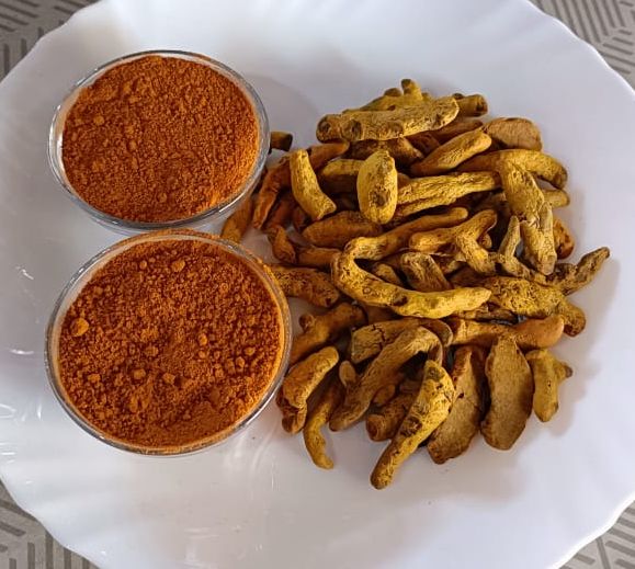 turmeric powder