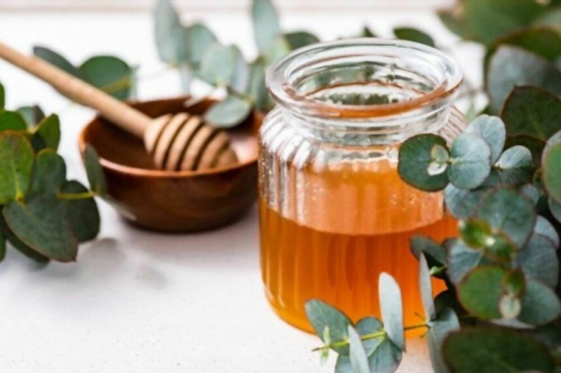 eucalyptus honey