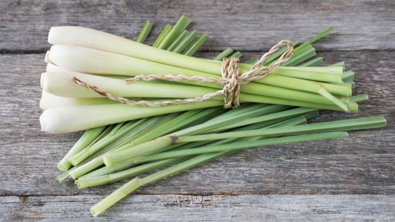 Green White Fresh Lemmongrass Leaves, Shelf Life : 20 Days