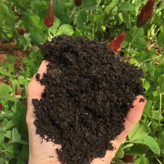 10kg POLYTHENE Compost Fertilizer, for 250 gm per plant after hoeing