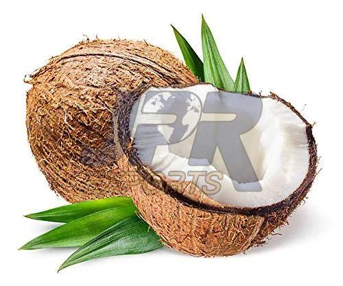 Brown Solid Raw Coconut, for Pooja, Cooking, Packaging Type : Jute Bags