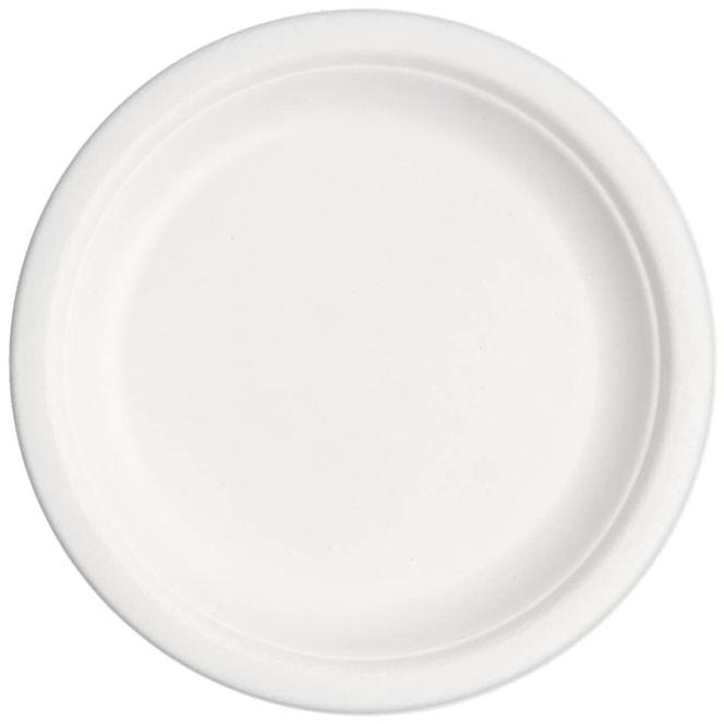 9-inch-round-biodegradable-plastic-plate-for-serving-food-color