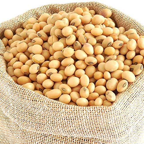 Soybean Seed, for Human Consumption, Oil Mills, Style : Dried