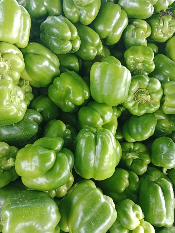 Capsicum, for Cooking