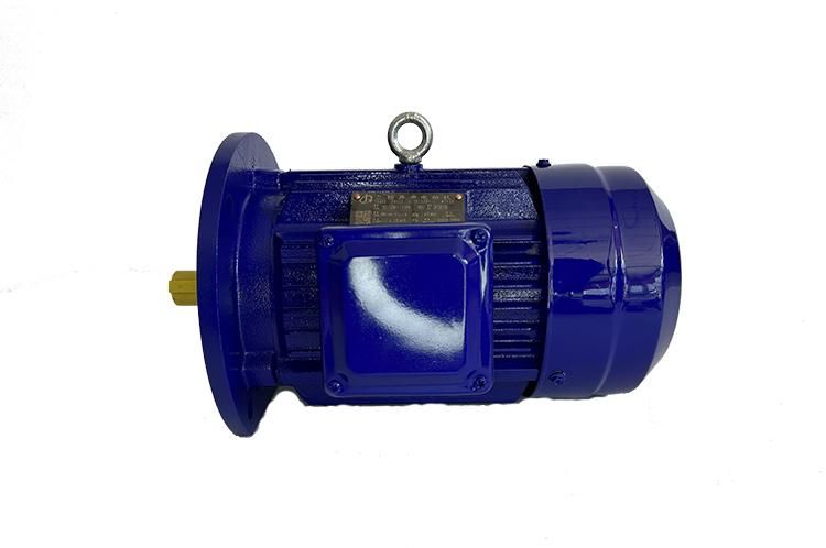 Flanged Mounted Motor