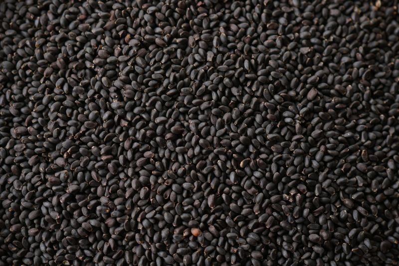 Black Dried Tukmaria Basil Seeds, Packaging Type : Pp Bag