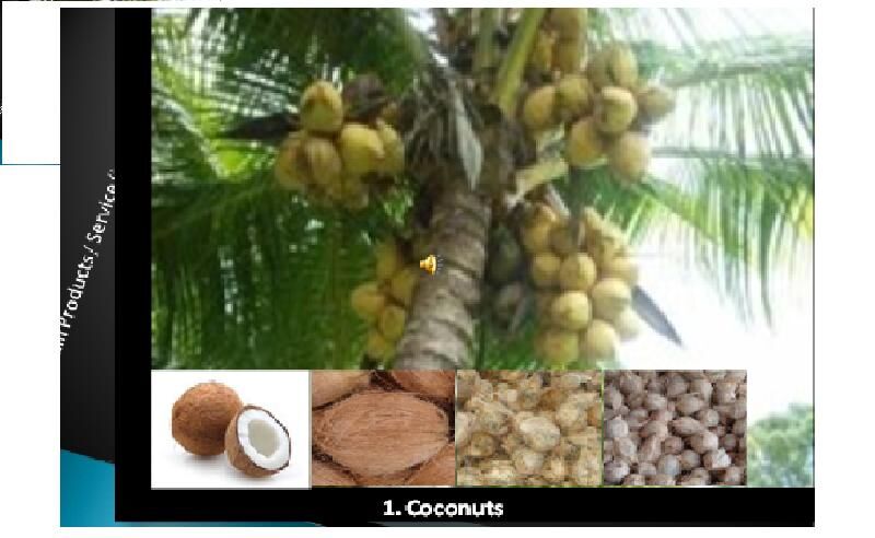 Organic coconut, Color : Green