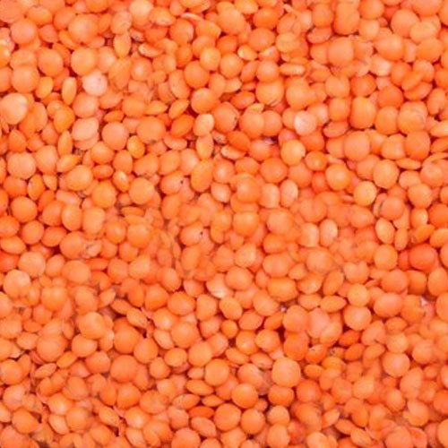 masoor dal