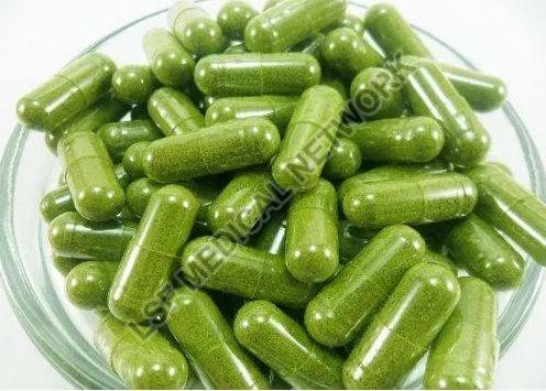 Basil Capsules, for Supplement Diet, Depression, Skin Care, Weight Loss, Packaging Type : Plastic Bottle