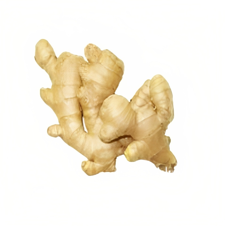 Brown Organic Fresh Ginger, for Cooking, Style : Natural at Rs 80 ...