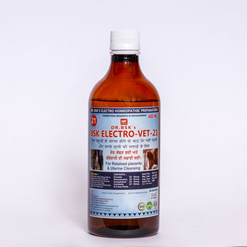 Liquid Dr. Bsk Electro VET-21 Syrup, Packaging Size : 450ml at Best ...