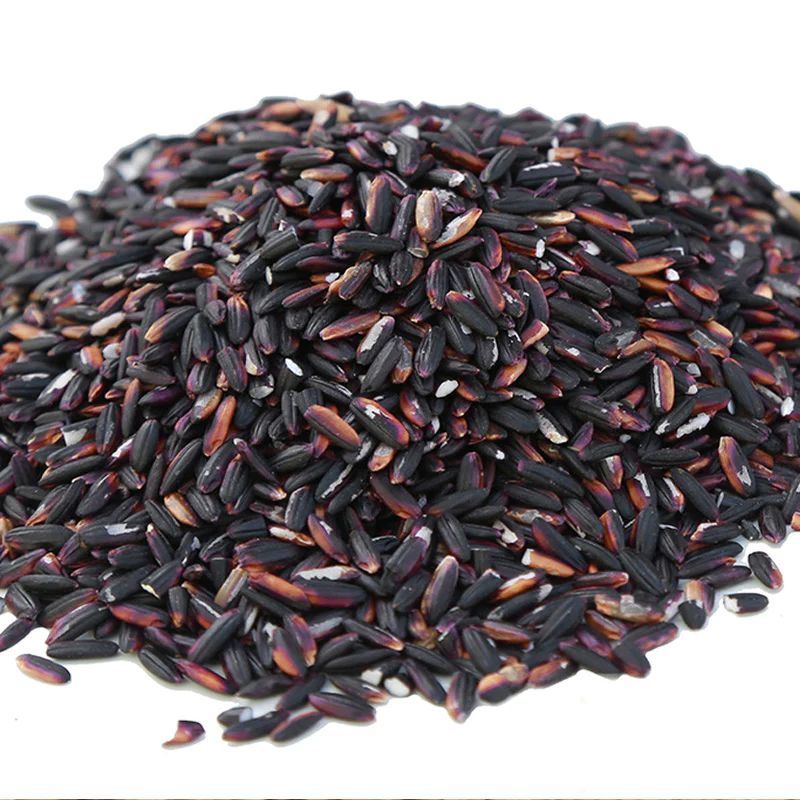 Hard Natural Black Rice, For Human Consumption, Certification : Fssai Certified