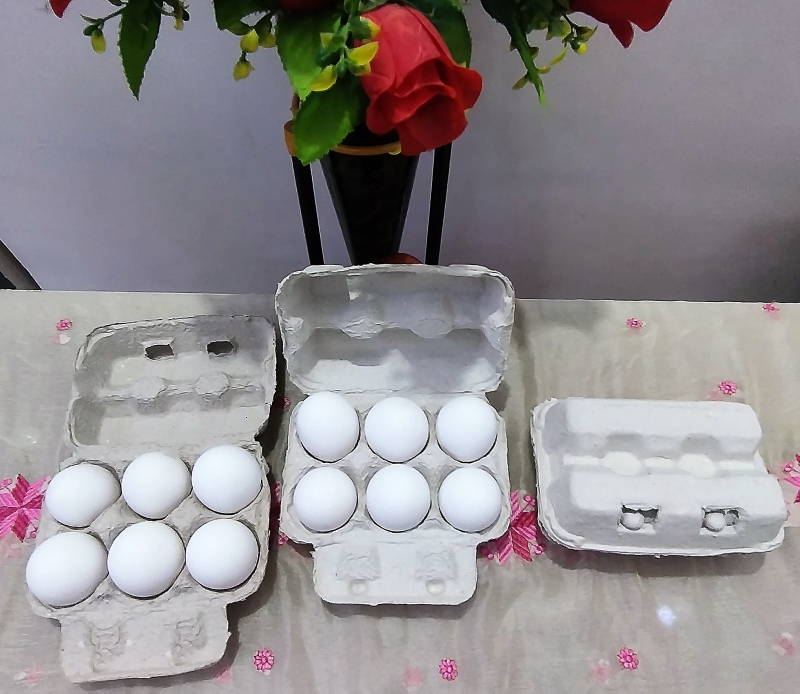 Paper Egg Tray, Color : White