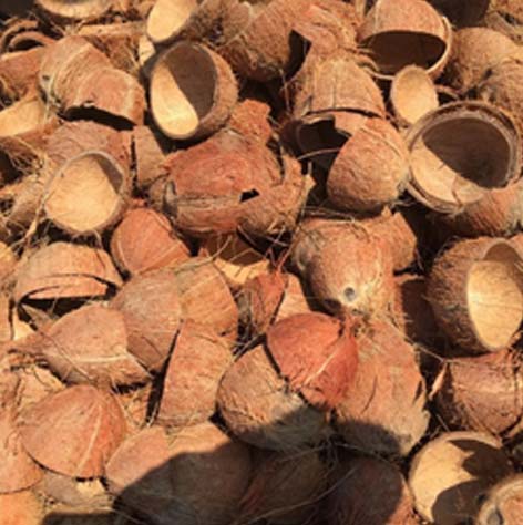 Coconut Shells, for Handicraft, Style : Dried