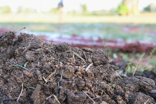 Ghan Jivamrut Vermicompost Fertilizer