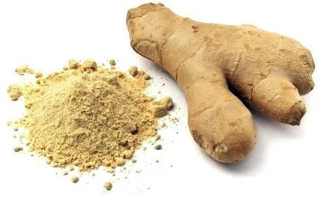 Dehydrated ginger powder, Shelf Life : 6 Month