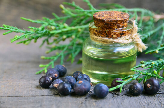 Organic JUNIPER BERRY OIL, for Cosmetic Uses, Grade : Pharma