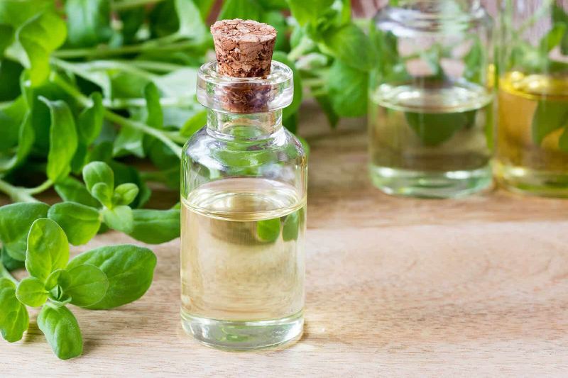 Marjoram oil, for ORGANIC, Feature : Good Quality