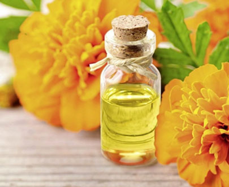 Tagetes oil, for Cosmetics, Form : Liquid