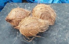 Natural Husked Coconut, for Pooja, Cooking, Packaging Type : Gunny Bags, Plastic Sack