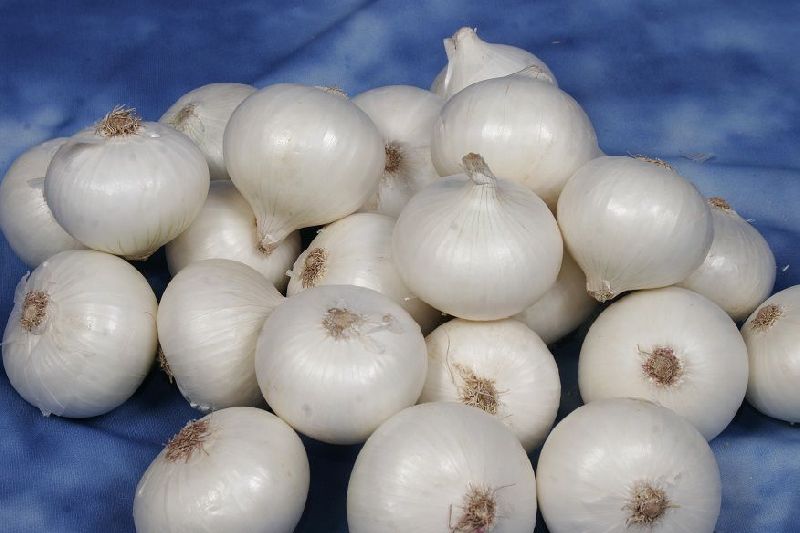 Natural Fresh White Onion, for Snacks, Fast Food, Cooking, Packaging Type : Mesh Bags