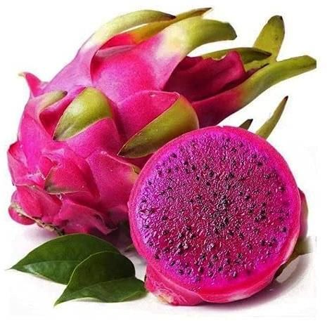 Fresh Dragon Fruit