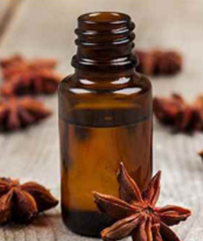 Anise Essential Oil