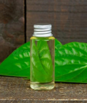  Betel Leaf Essential Oil, Feature : High In Protein, Antioxidant