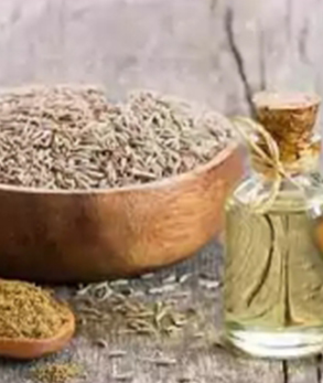 Caraway Oil