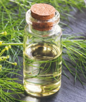 Fennel Seed Oil