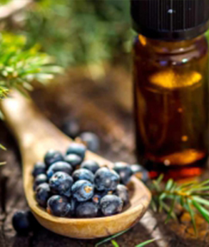  Juniper Berry Essential Oil, Purity : 90%