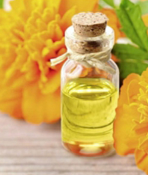  Tagetes Essential Oil, Purity : 99 %