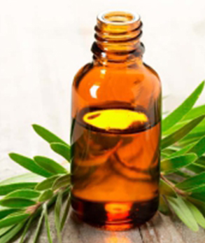  Tea Tree Essential Oil, Purity : 100% Pure