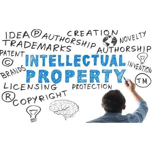 Intellectual Property Right Service