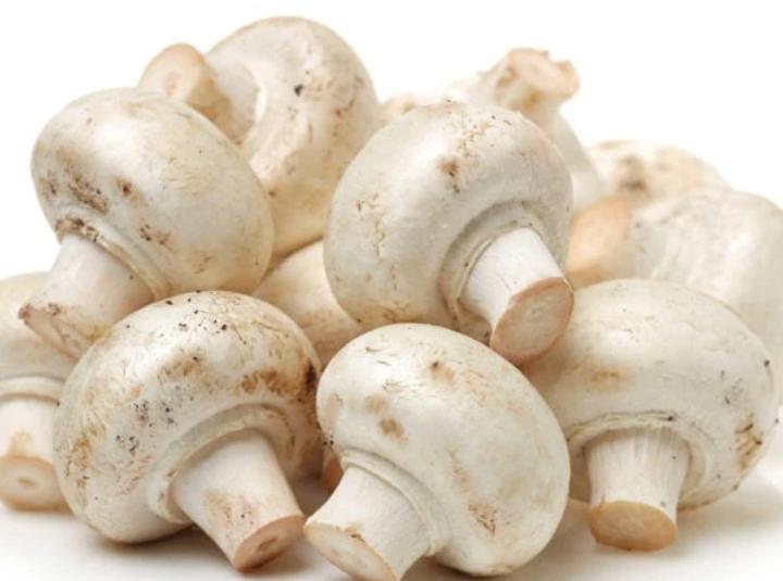 Button mushroom, Shelf Life : 3-7days