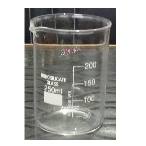 Glass Beaker 250ml, Brand ZOOM Zoom Scientific World, Ambala, Haryana